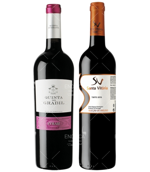 Vinhos do 3º Trimestre 2018 (Revista 107)