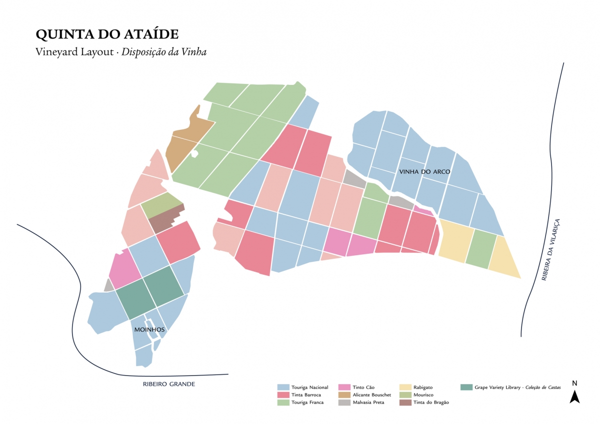 Symington - Quinta do Ataíde - Vinhas