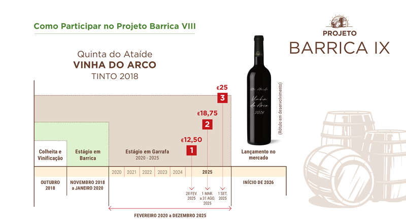 Gráfico 1 - Projeto Barrica IX  - Symington