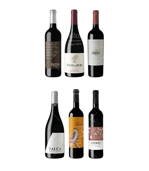 Conjunto 6 Terroirs