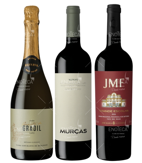 Vinhos do 4º Trimestre 2023 (Revista 128)
