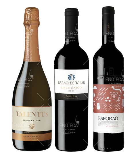 Vinhos do 4º Trimestre 2024 (Revista 132)