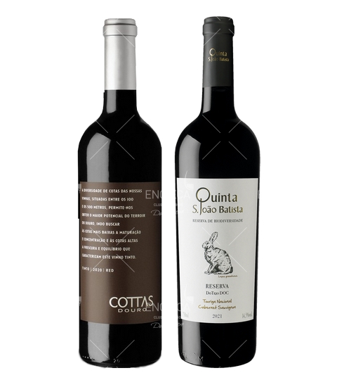 Vinhos do 1º Trimestre 2025 (Revista 133)