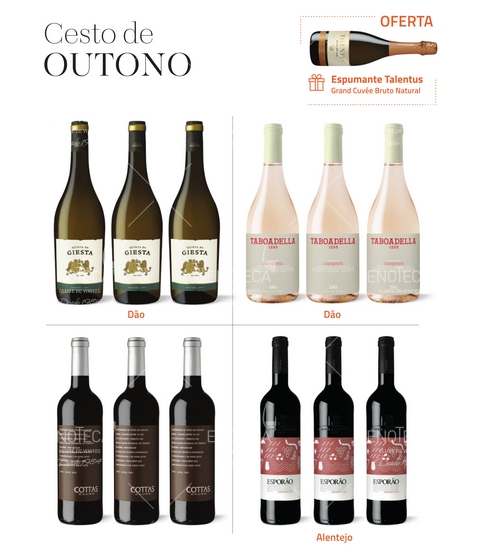 Cesto de Outono - R135