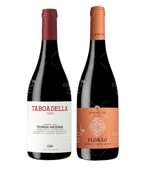 Vinhos do 3º Trimestre 2025 (Revista 135)